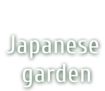 Japanese garden